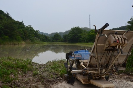 田んぼと田植え機