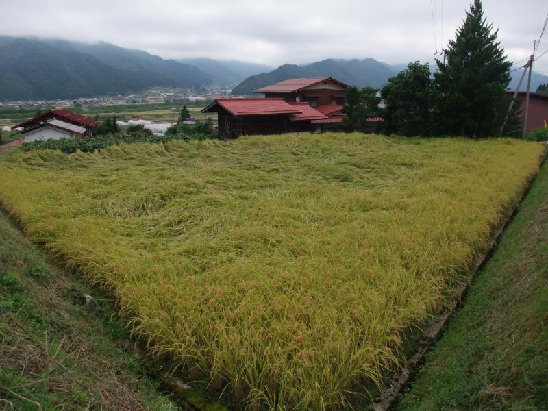 鮎の瀬農園