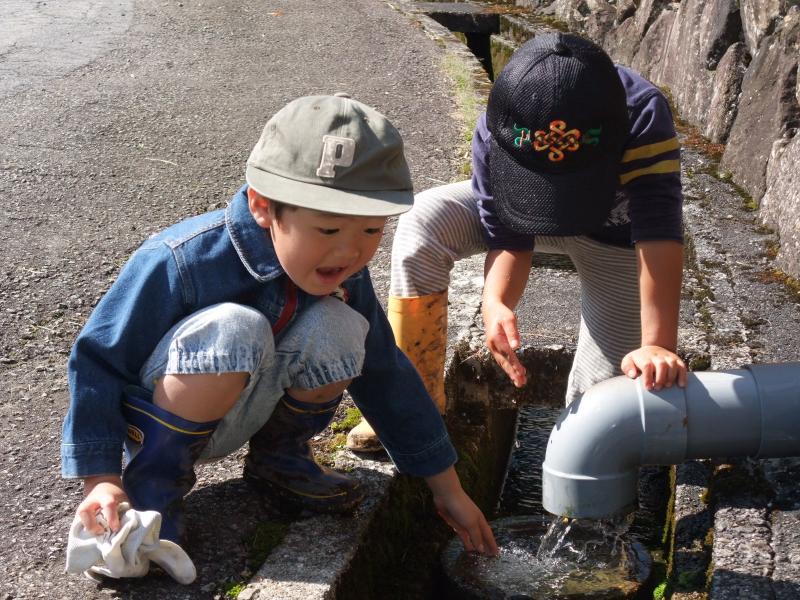 生き物さがし