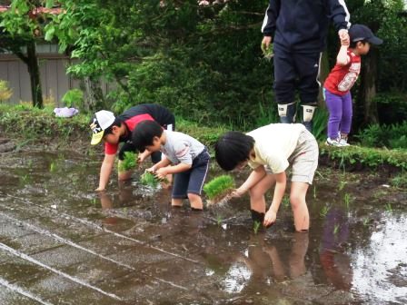 田植え