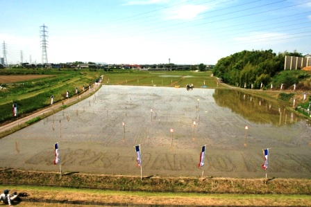 ふれあい田んぼアート2011 平成23年5月14日 田植え