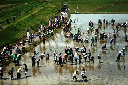 ふれあい田んぼアート2011 平成23年5月14日 田植え