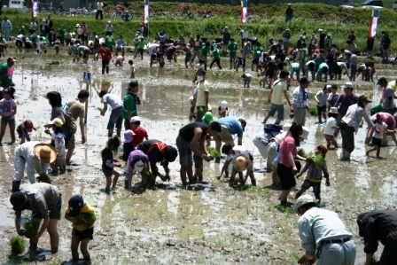 ふれあい田んぼアート2011 平成23年5月14日 田植え