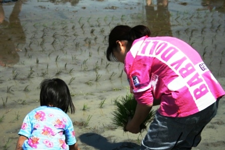 ふれあい田んぼアート2011 平成23年5月14日 田植え