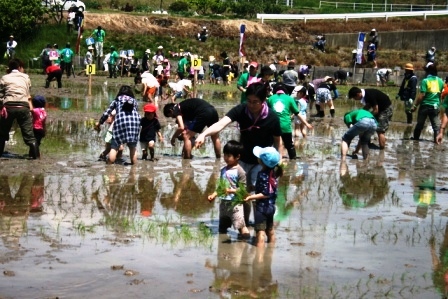 ふれあい田んぼアート2011 平成23年5月14日 田植え