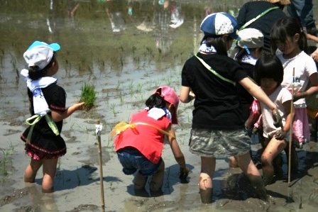 ふれあい田んぼアート2011 平成23年5月14日 田植え