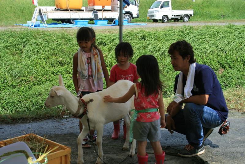 ヤギと戯れる子どもたち