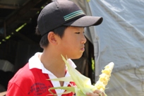 トウモロコシをそのまま食べます