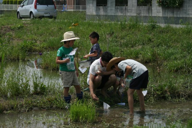 生きもの調査1