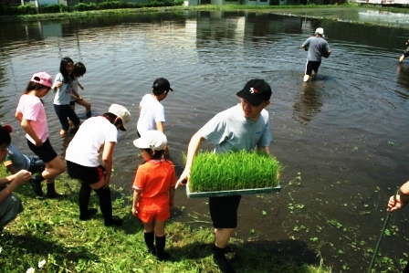 常安おやじの会 平成23年5月21日 田植え