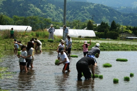 常安おやじの会 平成23年5月21日 田植え