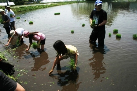 常安おやじの会 平成23年5月21日 田植え