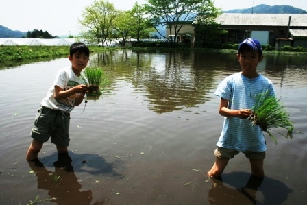 常安おやじの会 平成23年5月21日 田植え