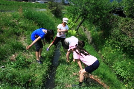常安おやじの会 平成23年5月21日 田植え
