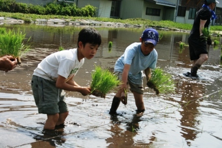 常安おやじの会 平成23年5月21日 田植え