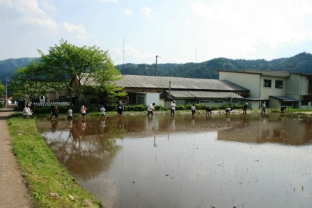 常安おやじの会 平成23年5月21日 田植え