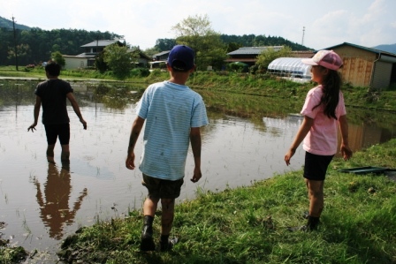 常安おやじの会 平成23年5月21日 田植え