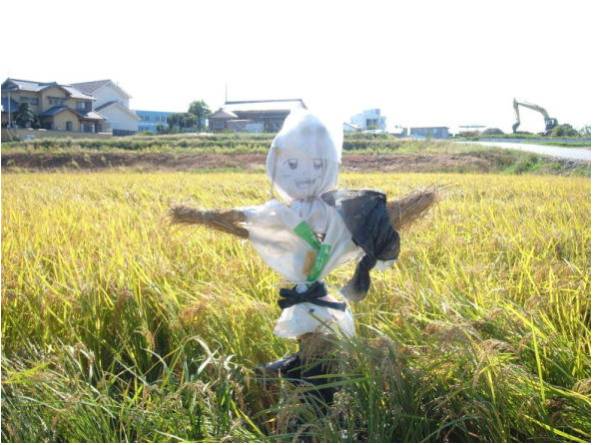 案山子