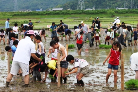 田んぼアート2011（岐阜PTA連合会） 平成23年6月12日