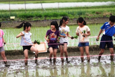 田んぼアート2011（岐阜PTA連合会） 平成23年6月12日