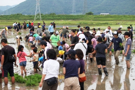 田んぼアート2011（岐阜PTA連合会） 平成23年6月12日