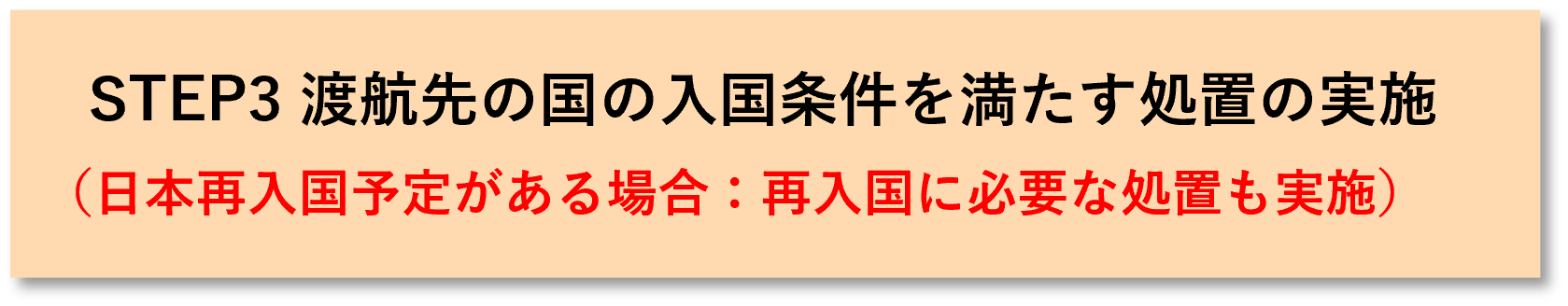 STEP3 渡航先の国の入国条件を満たす処置の実施