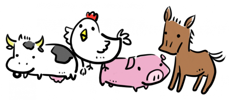 animals