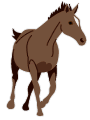 Illustration of the horse