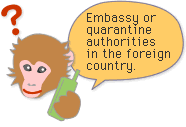 Quarantine authorities of the recipient country or embassy.