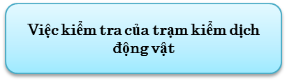 export3_vn