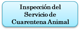 import4_es