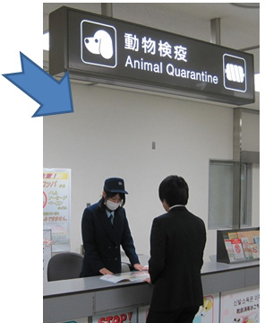 動物検疫所/日本へ入国される皆様へ
