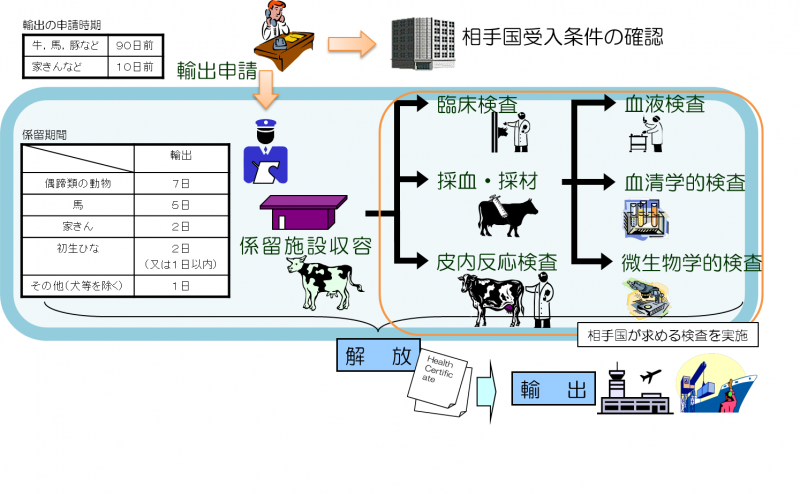 export_animal_flow