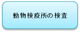 動物検疫所の検査