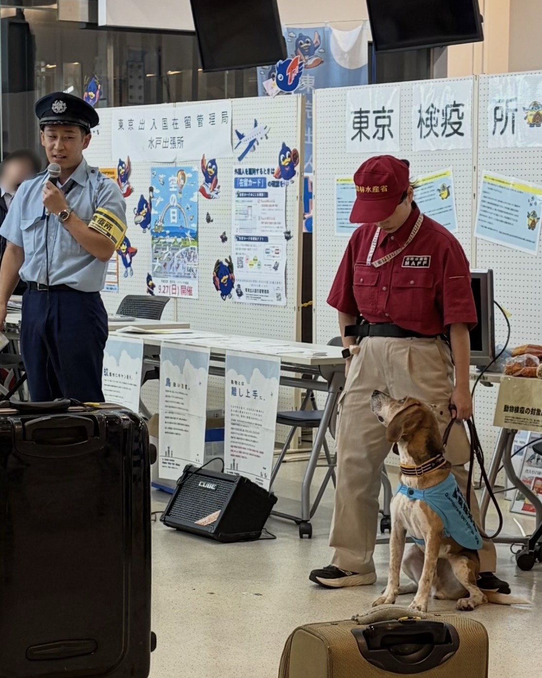 検疫探知犬デモンストレーション