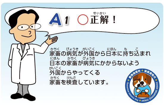 Kids Q&A 問題01 正解