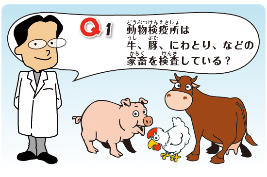 Kids Q&A 問題01