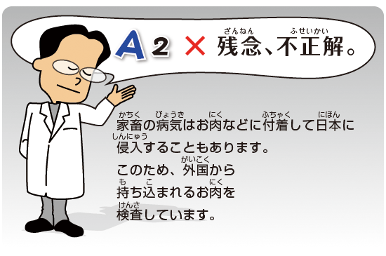Kids Q&A 問題02 残念