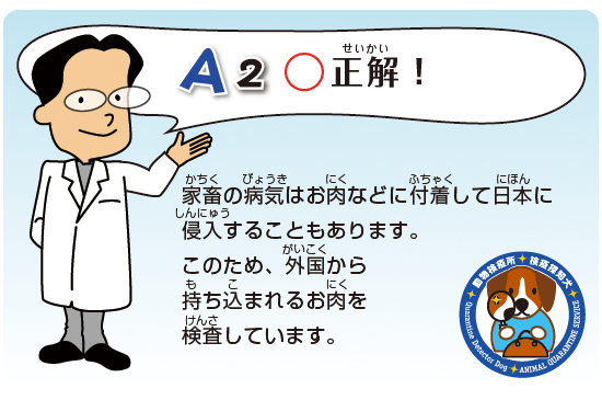 Kids Q&A 問題02 正解