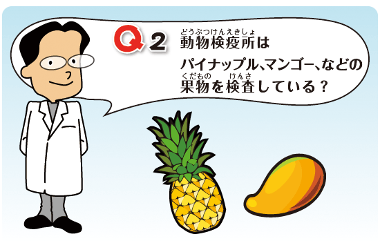 Kids Q&A 問題02