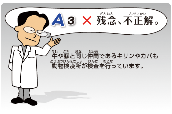 Kids Q&A 問題03 残念
