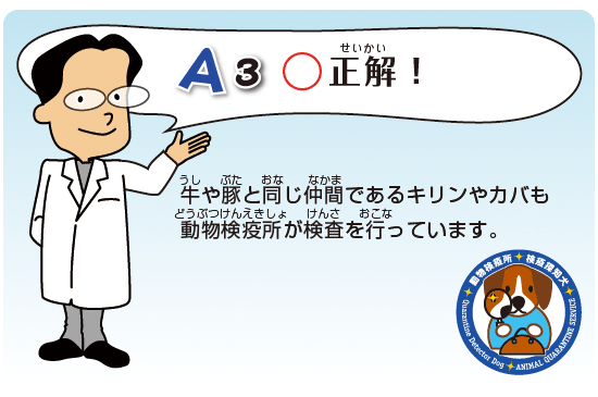 Kids Q&A 問題03 正解
