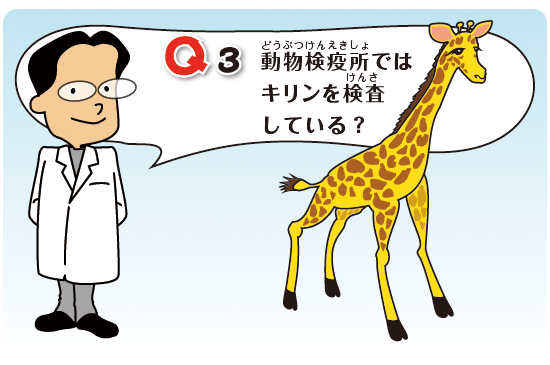 Kids Q&A 問題03