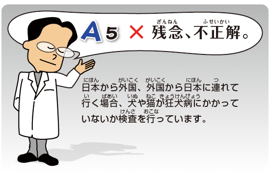 Kids Q&A 問題05 残念
