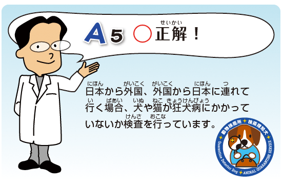 Kids Q&A 問題05 正解