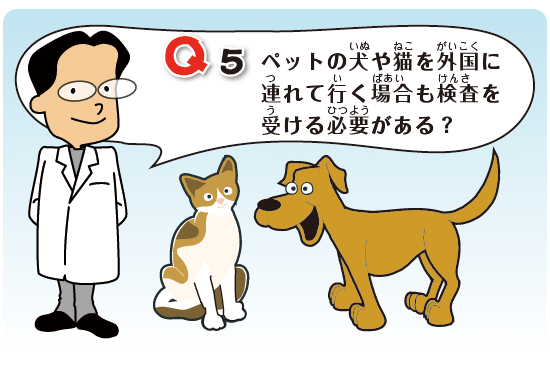 Kids Q&A 問題05