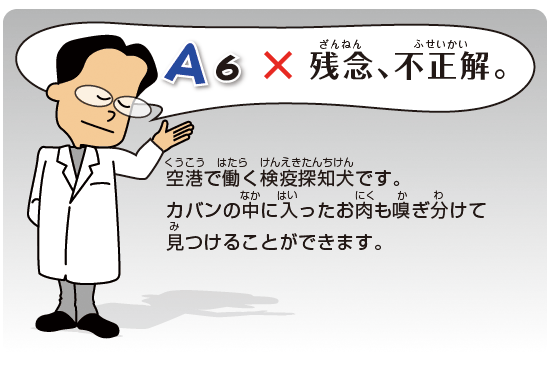 Kids Q&A 問題06 残念