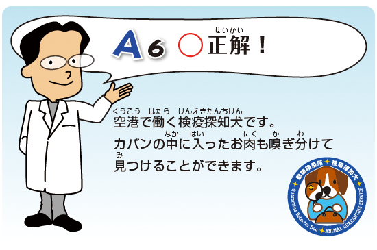 Kids Q&A 問題06 正解