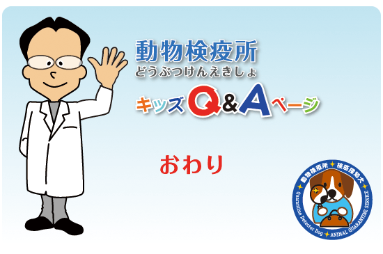 Kids Q&A おわり