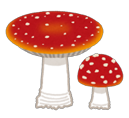 毒きのこ1